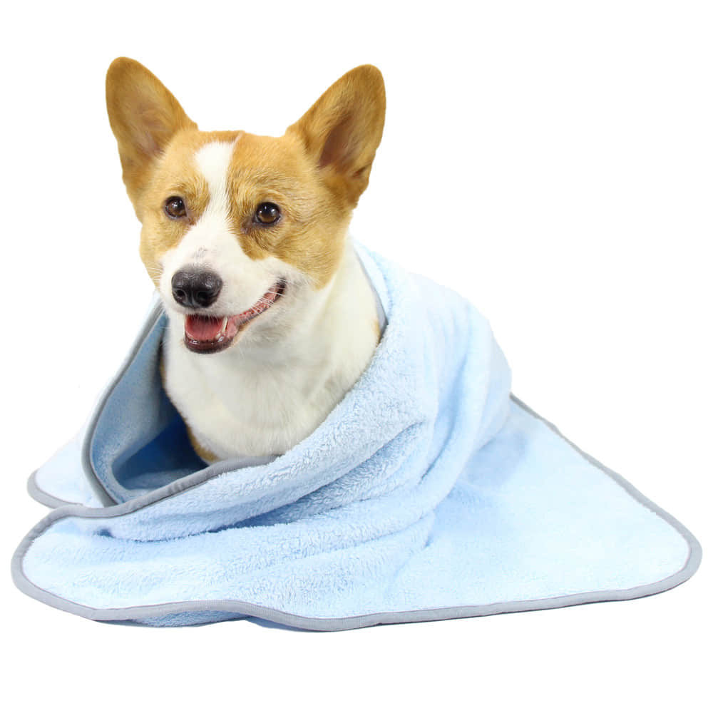 Pet Textile Accessories