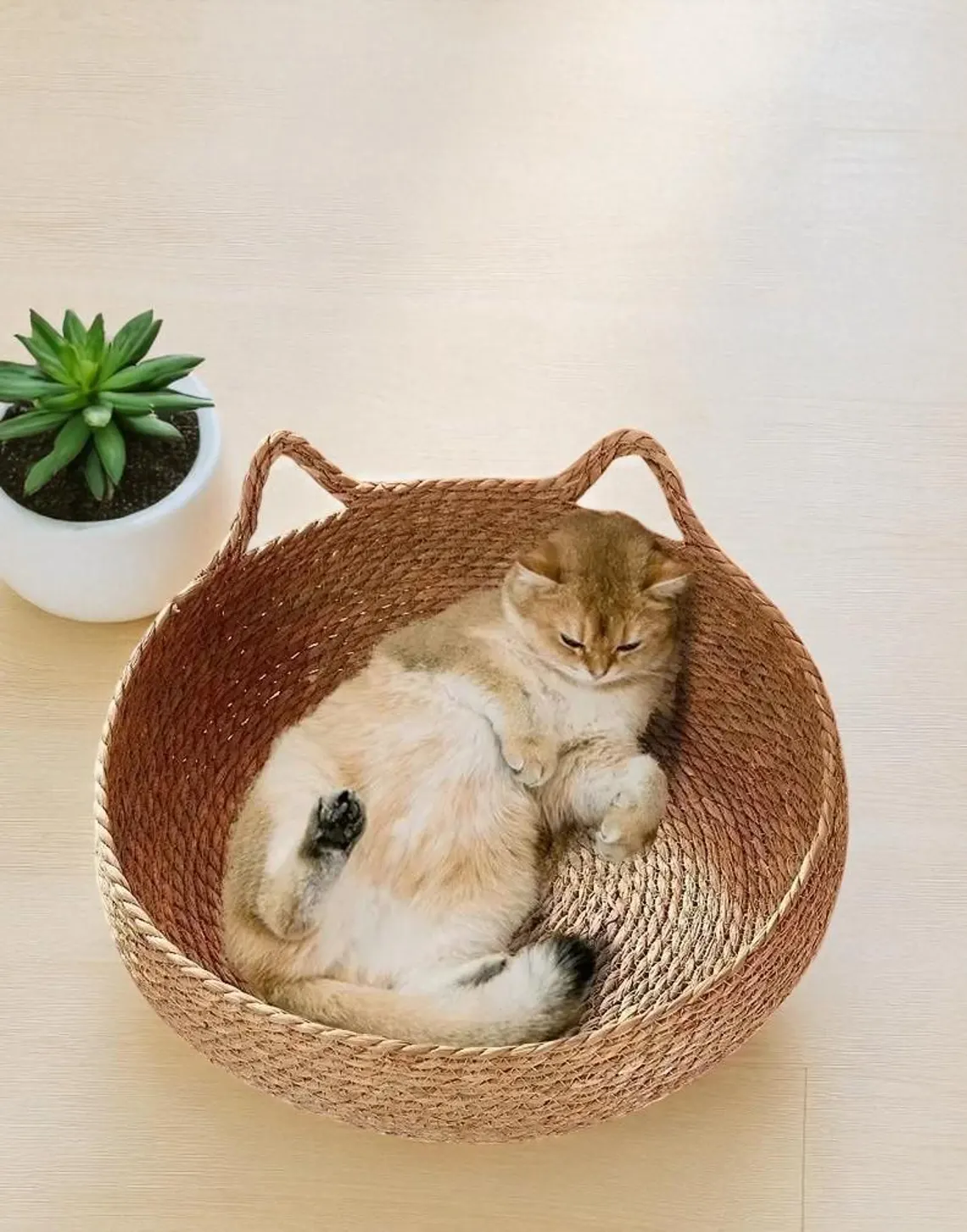 Natural Woven Cotton Cat Bed with Washable Pad – Washable Seasonal Pad, All-Season Pet Accessory